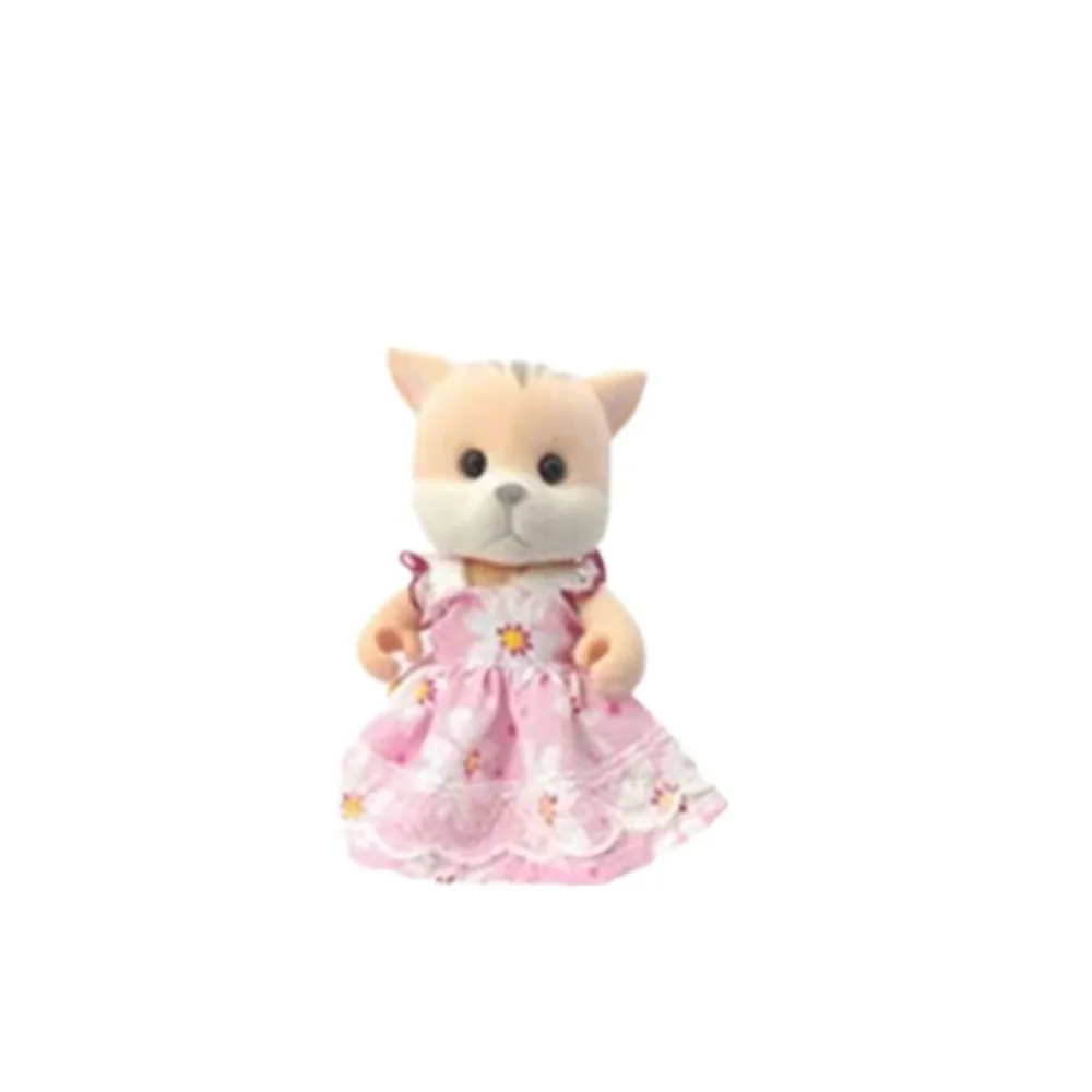 Cat-Random