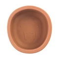 spiced pumpkin