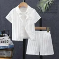 TZ230245A-WH