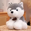 Husky