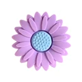 Color 8