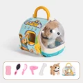 Corgi