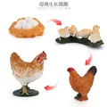 ZQ2416 4pcs