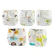 random style-5pcs