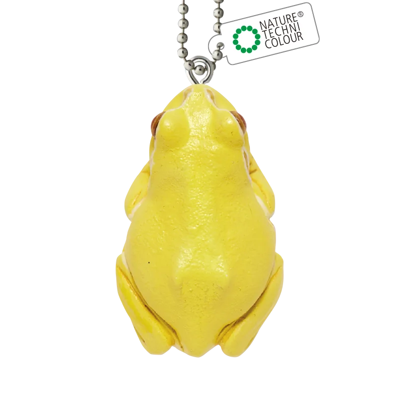 yellow tree frog