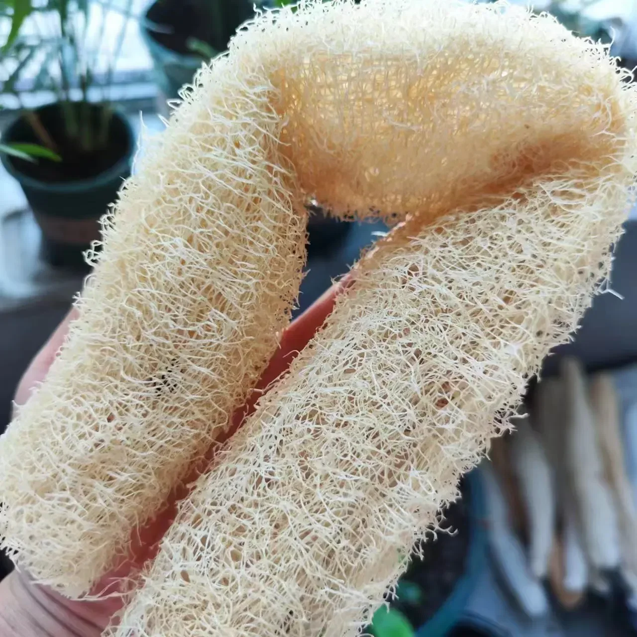 Esponja de lufa natural para limpieza ecológica del hogar - imagen 5