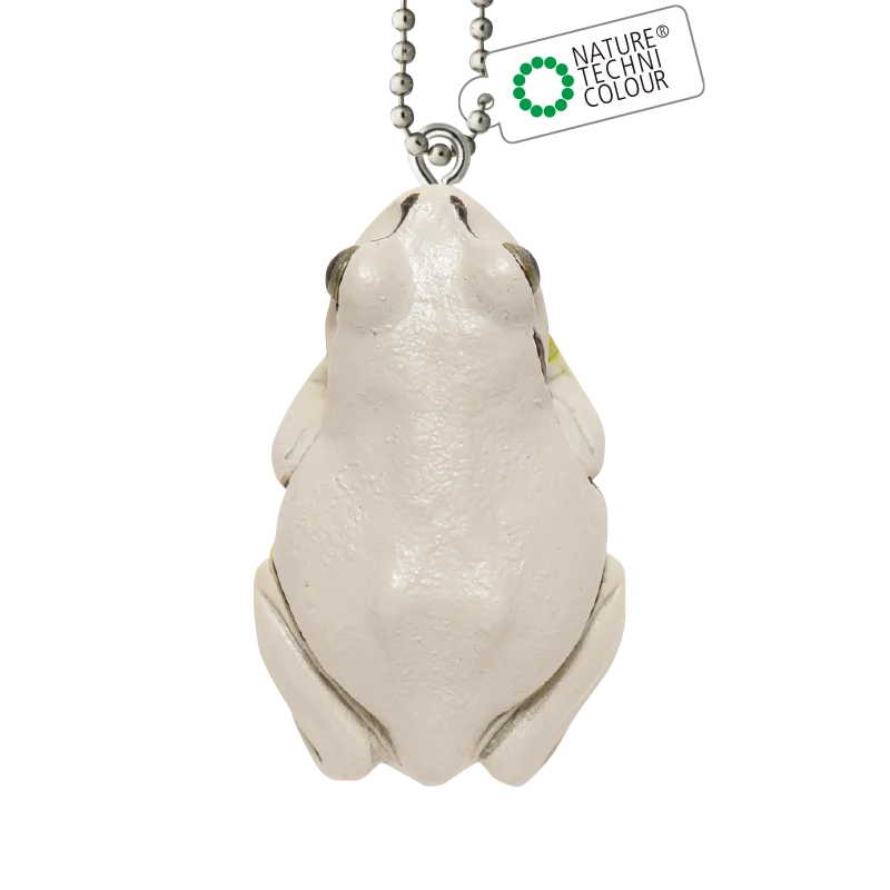 white tree frog