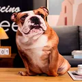 English bulldog 2