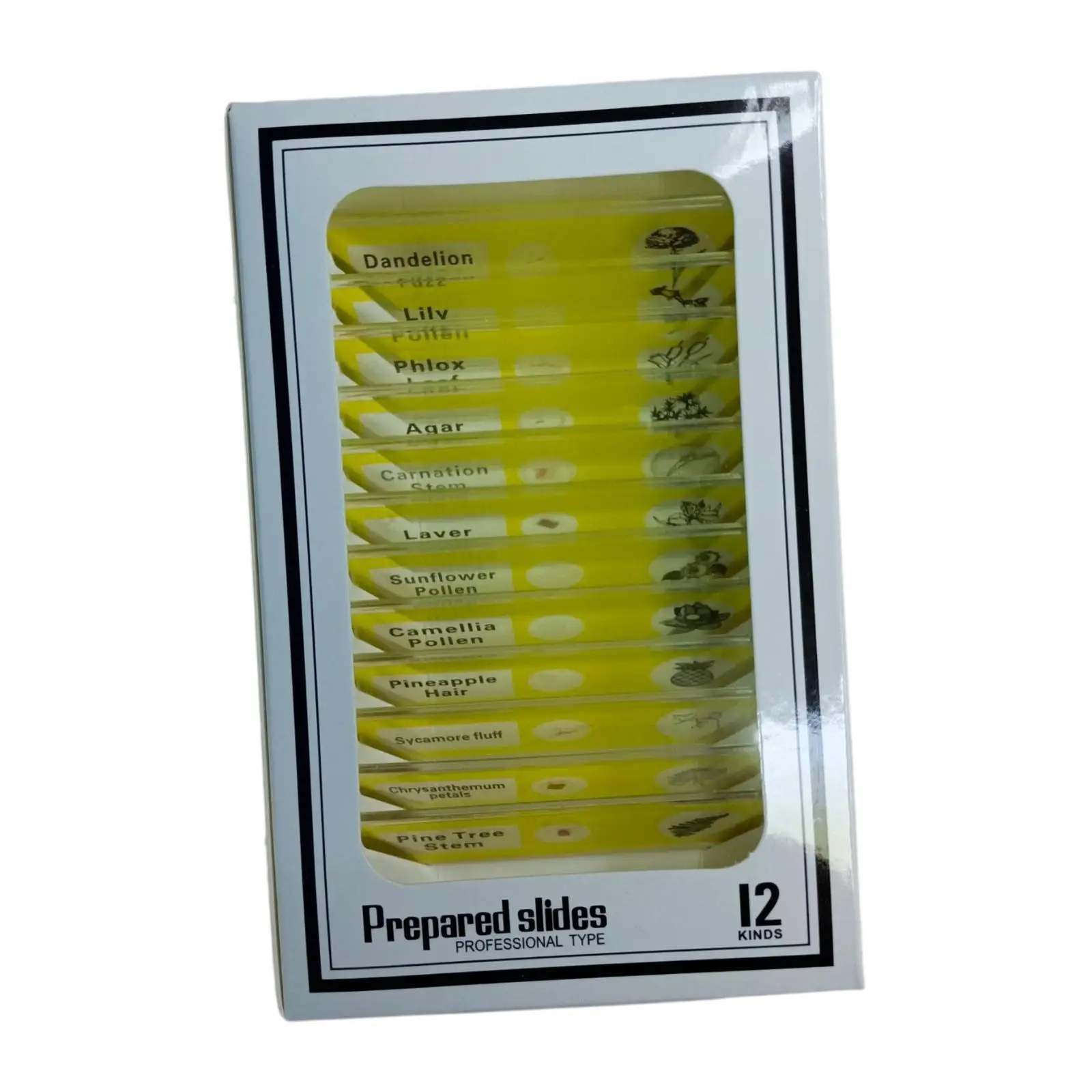 12Pcs Kids Prepared Microscope Slides Microbiology Slides for School Kids