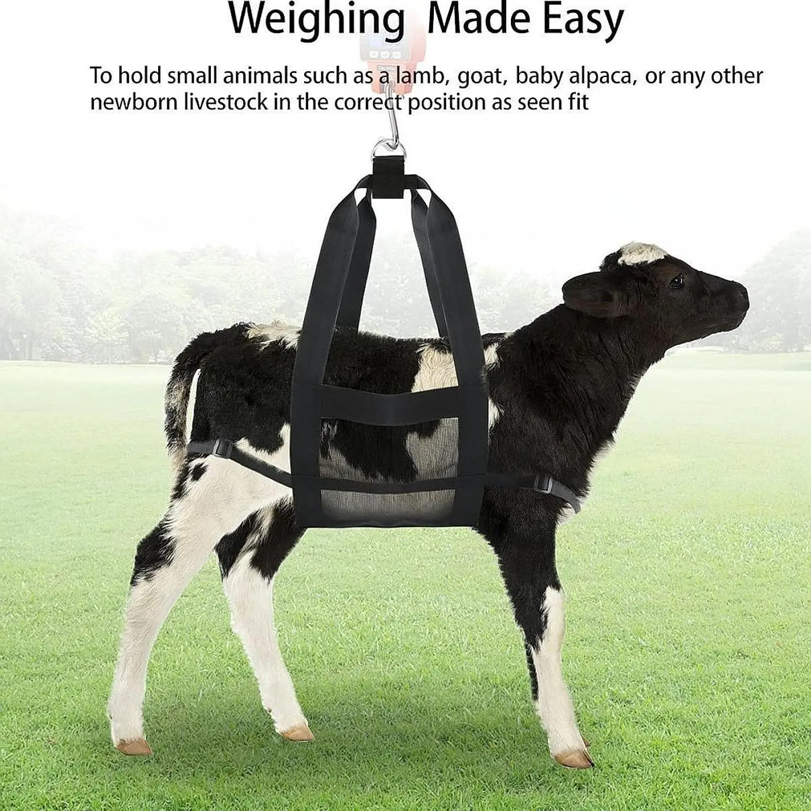 Calf Sling for Weighing Animals Livestock Sling Livestock Weighing Strap Hanging Scale Sling for Pigs Dogs Small Alpacas Sheep Calf Sling for Weighing Animals Livestock Sling Livestock Weighing Strap Hanging Scale Sling for Pigs Dogs Small Alpacas Sheep