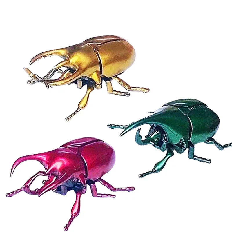 3Pcs beetle