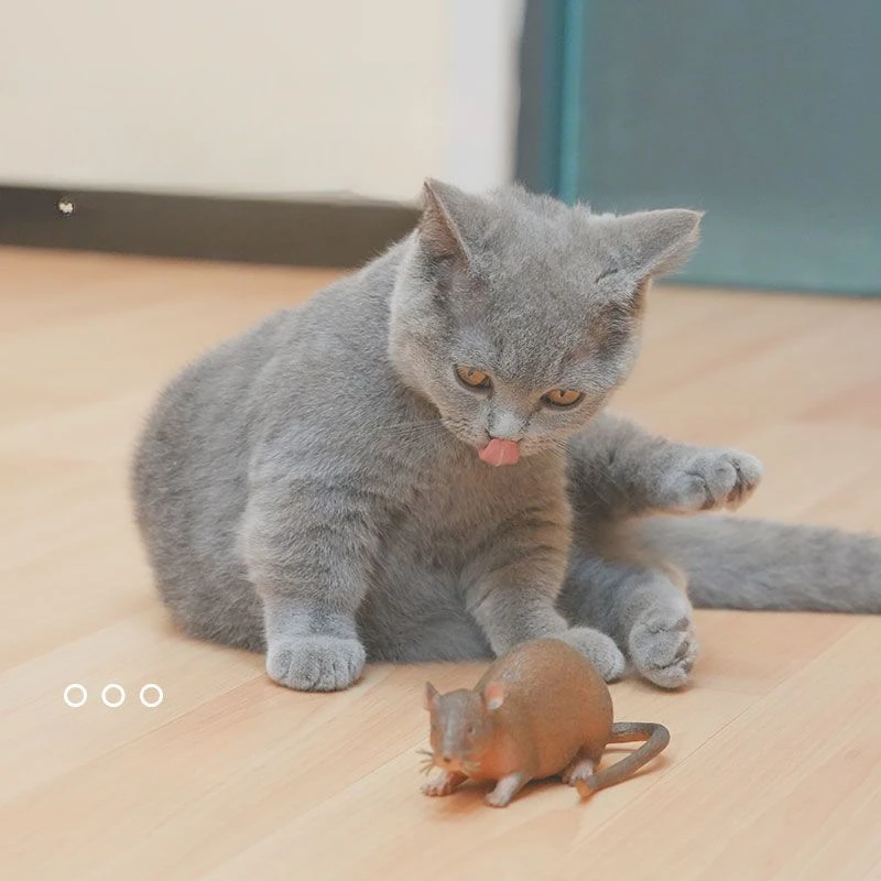 mouse 2 pcs
