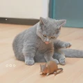 mouse 2 pcs