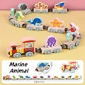 Marine Animal