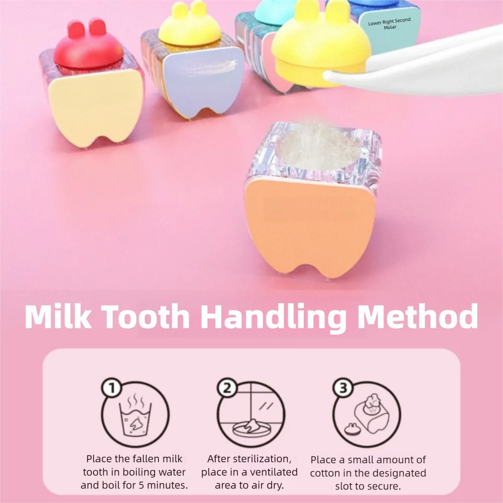 Nuevo Caja de dientes bonita, caja de colección de dientes duradera y creativa, contenedor de almacenamiento, preservación de memoria - imagen 2