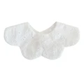 Kapok on white backg