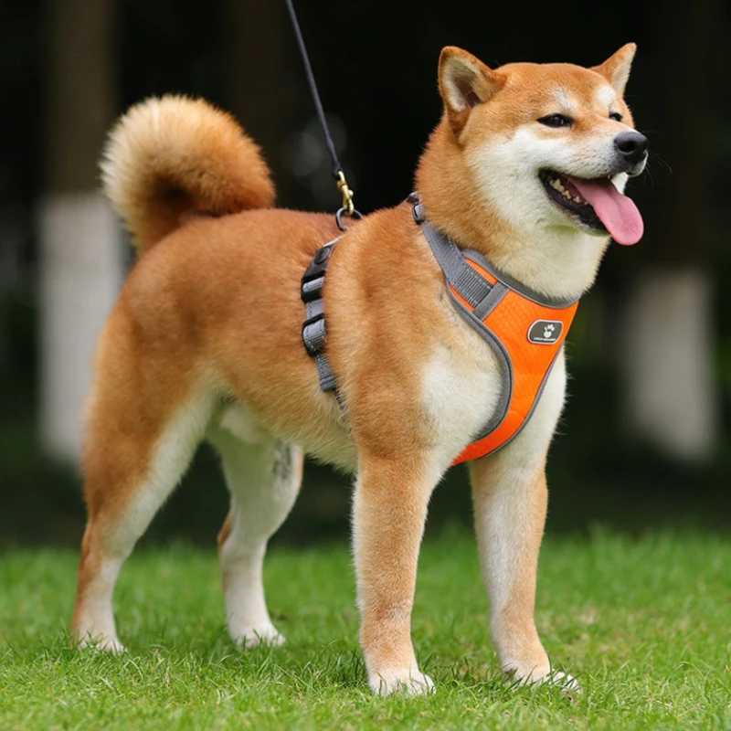 Arnés reflectante ajustable para perros grandes – Cómodo y seguro