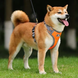 Arnés reflectante ajustable para perros grandes – Cómodo y seguro