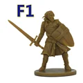 F1