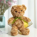 30cm Brown Bear
