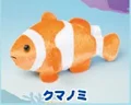 Clownfish