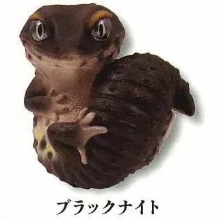 black knight Gecko