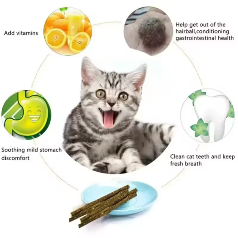 Snack dental de menta para gatos – Juguete masticable relajante - imagen 5