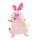 for cute rabbit