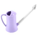 Violet5.5X3X2CM