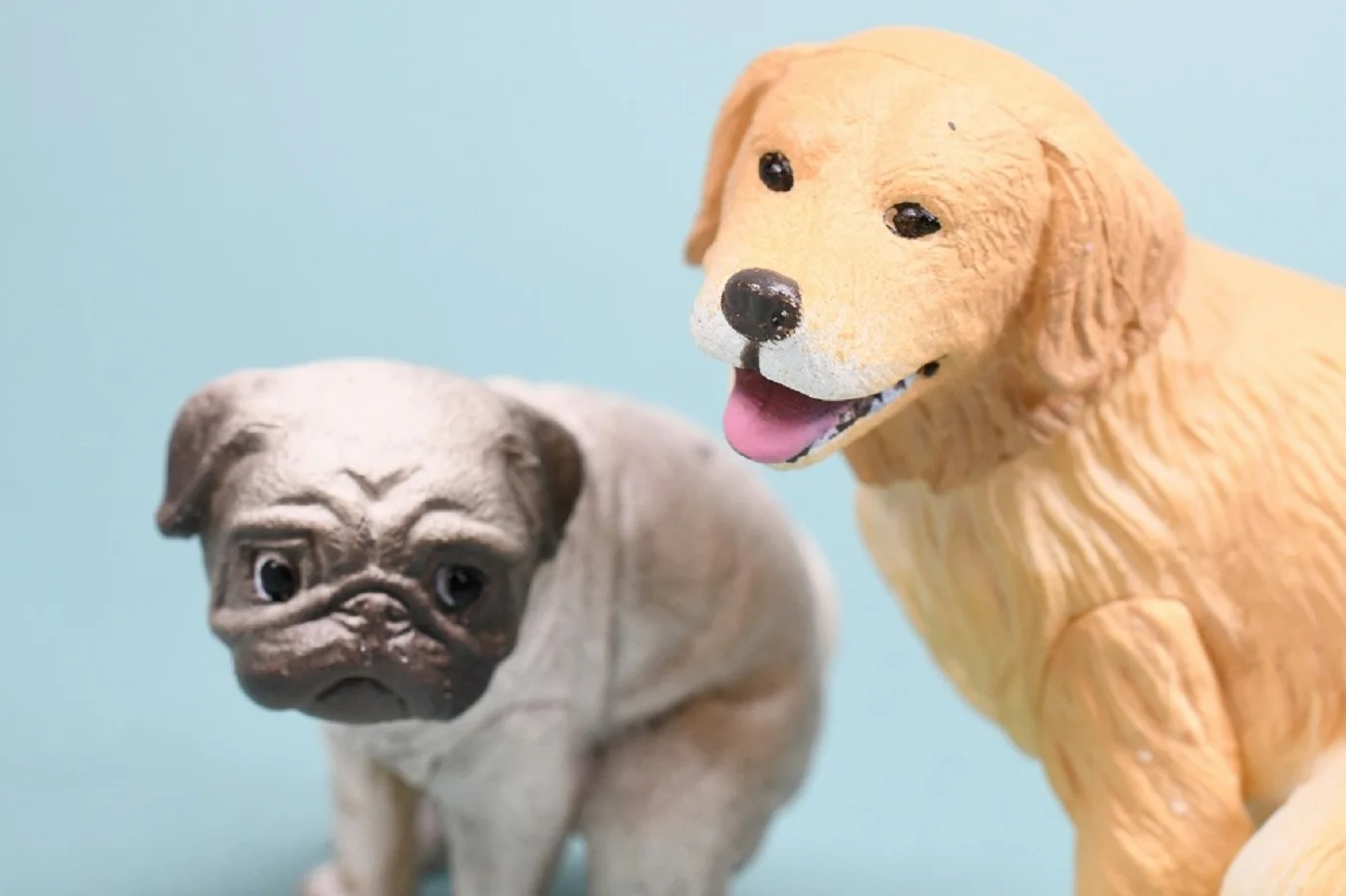 TakaraTomyArts cápsula juguetes kawaii divertido Funbari-nu 2 Bichon Frise Golden Retriever Pug Chihuahua perro excavador figuras de heces - imagen 4