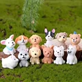 12pcs(you get all)