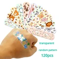 120pcs transparent
