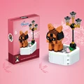 199PCS Bullmastiff