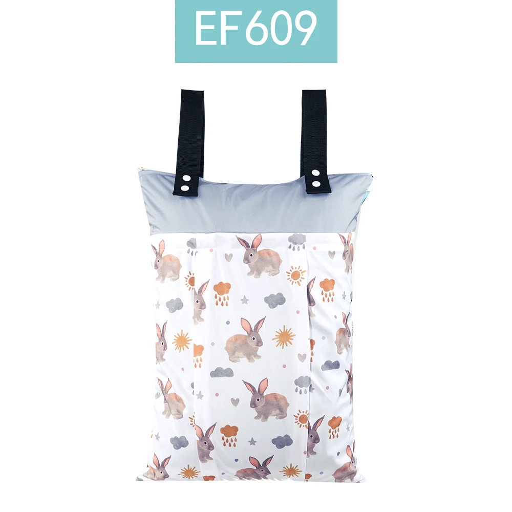 EF609