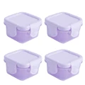 style C-Purple