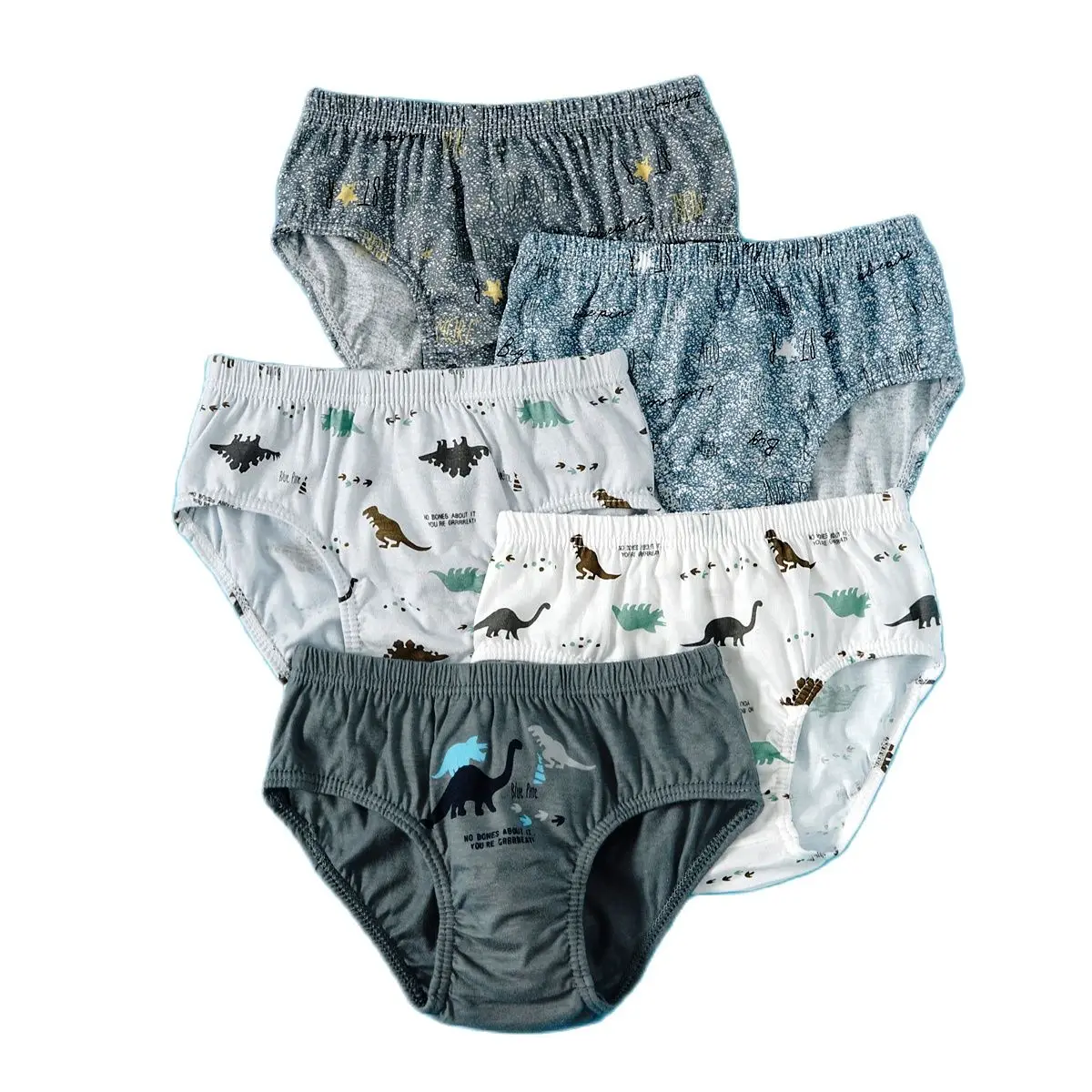 5pcs Dinosaur 6