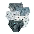 5 PCS Set Dinosaur