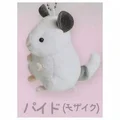 Chinchilla white