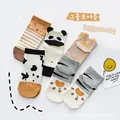 5Pairs animal