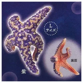 Purple L size