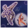 Purple L size