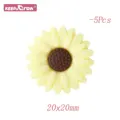 5pcs Cream