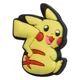 pokemon 12