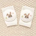 Folded Rabbit