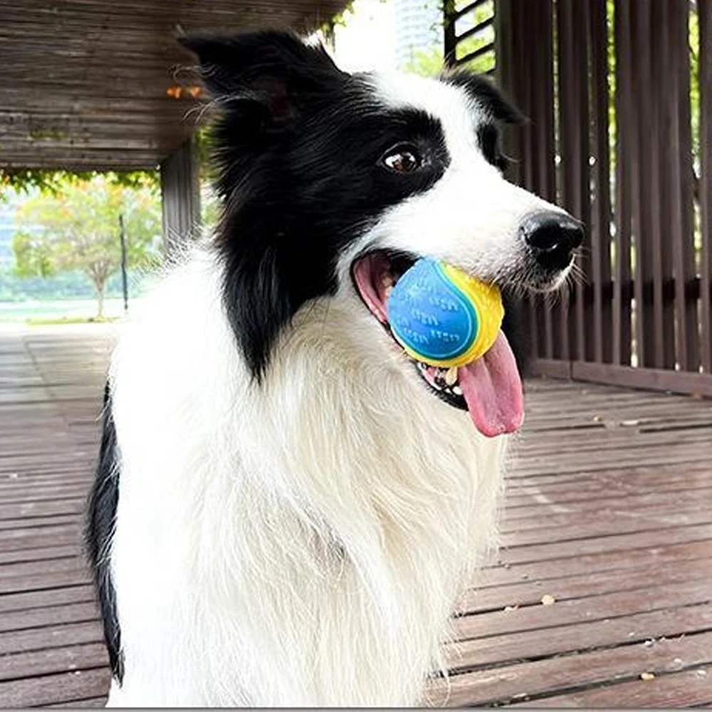 Pelota de goma de juguete para perros resistente a mordeduras, pelota elástica con sabor a carne para evitar que el perro se destruye cosas, suministro de entrenamiento para perros - imagen 5
