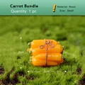 1pc Carrot Bundle