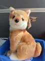 brown Shiba Inu