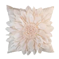 Cream Ivory White