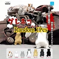 Random 1Pcs