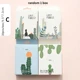 Type D Random 1 Box